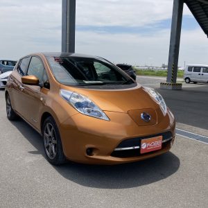 Nissan > Leaf > ZAA-AZE0 > 2016 Nissan Leaf ZAA-AZE0